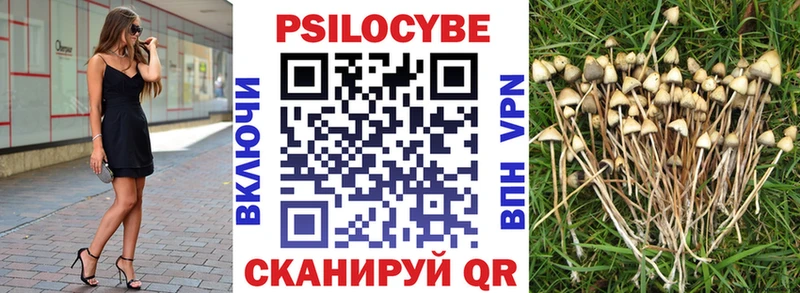Купить где  Белорецк  Галлюциногенные грибы мицелий 